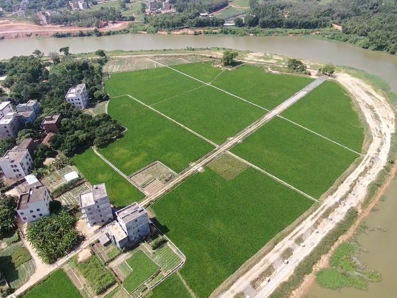 1657179139450887.jpg 水田地块图.jpg