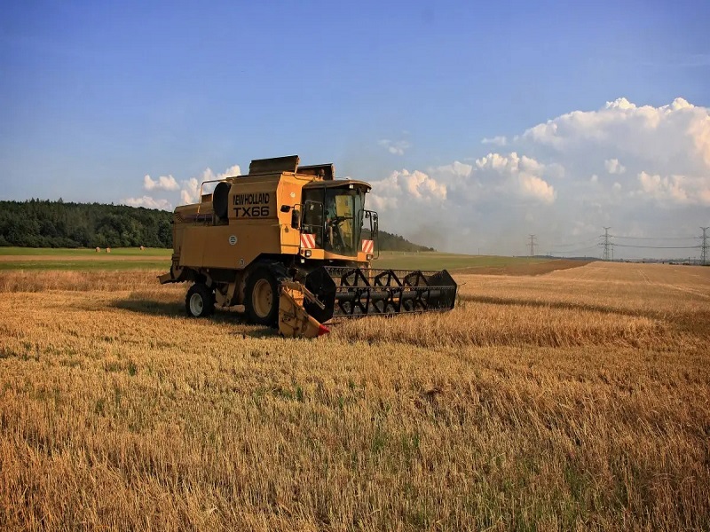 1657179148133398.jpg 收割图(1).jpg